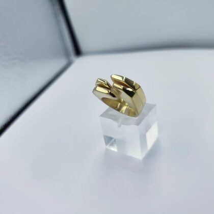 synthesi-daxtylidion-asimi-925-epixrysomeno-18k-diplo-interlocking-gold-ring